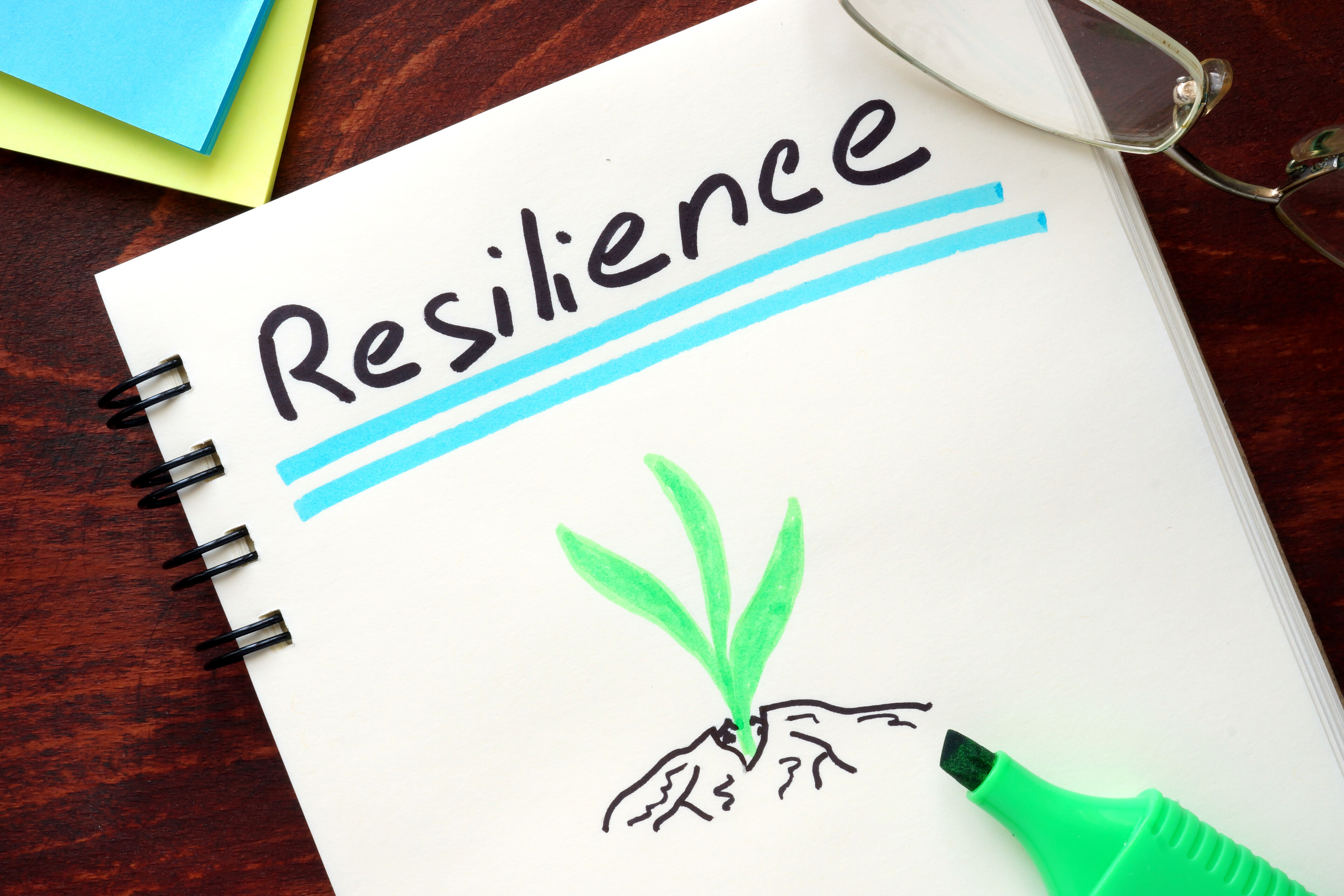 Building Resilience