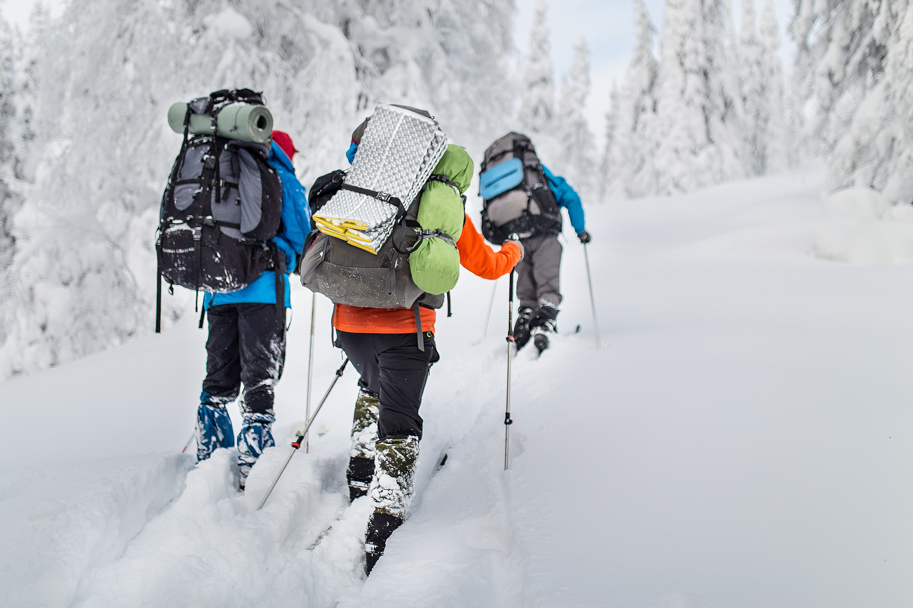 Three skiers walking through the wilderness with gear to prevent frostbite