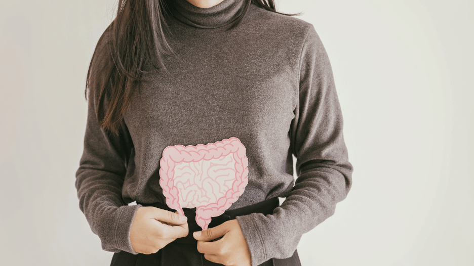 Close-up of a woman holding a diagram of the human intestines, symbolizing improved gut health and digestive wellness