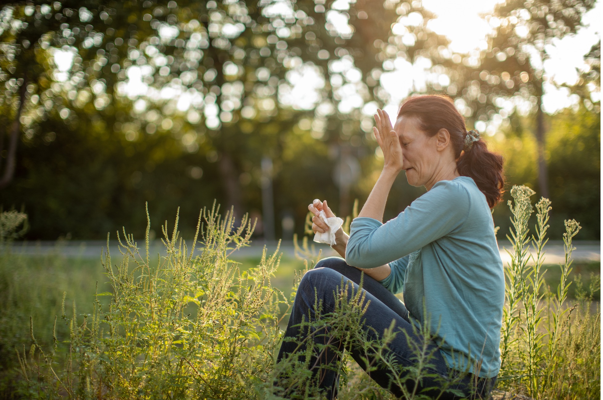 One mature woman in nature among ragweed plant suffering because she has a problem with pollen allergy at summer.