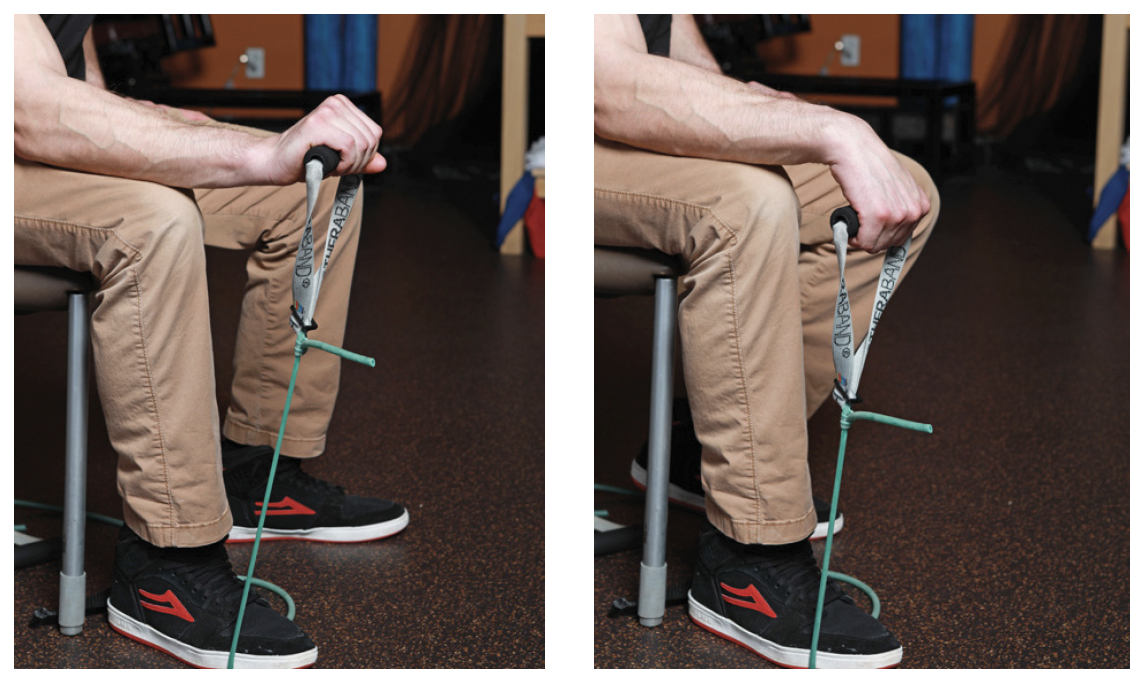 eccentric strengthening of forearm muscles 2