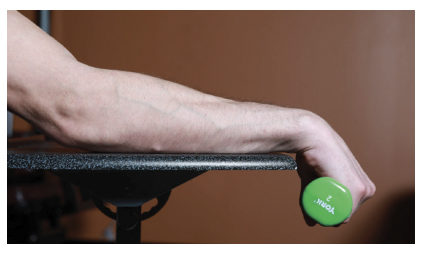 wrist extension curl demonstration 1