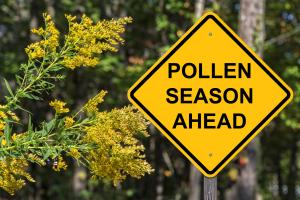 Warning sign that says pollen season ahead
